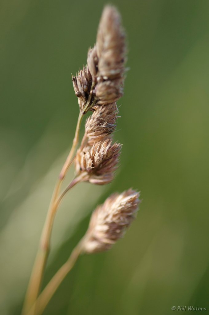 Cotswold_Drive_12-7-09_147.jpg