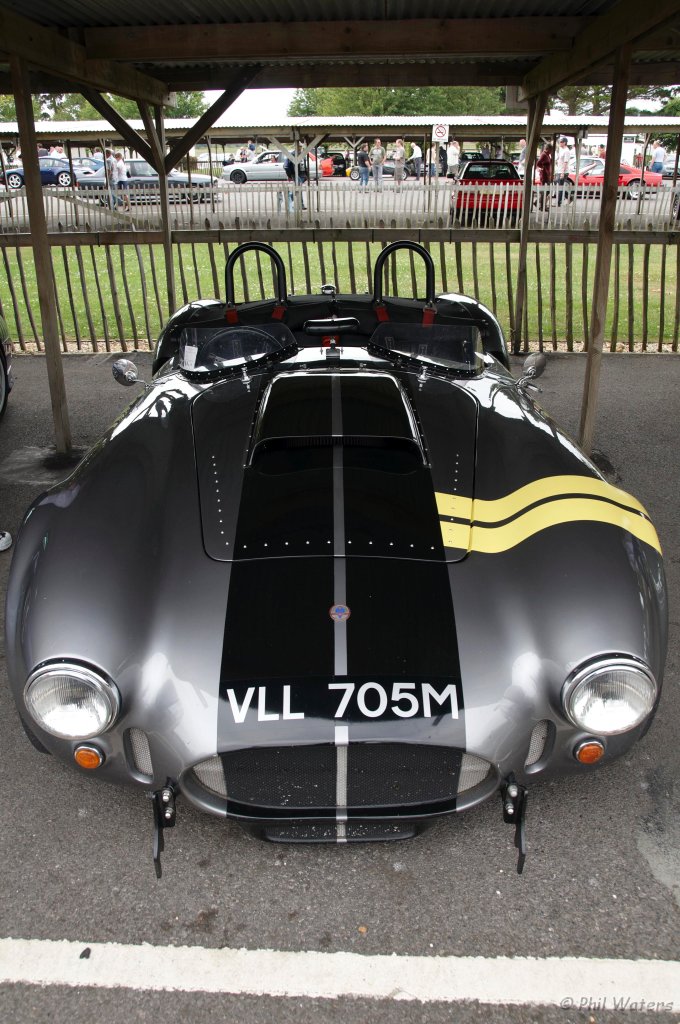 Goodwood_28-6-09_042.jpg