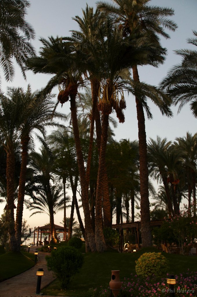 Egypt_2009_Wk1_040.jpg