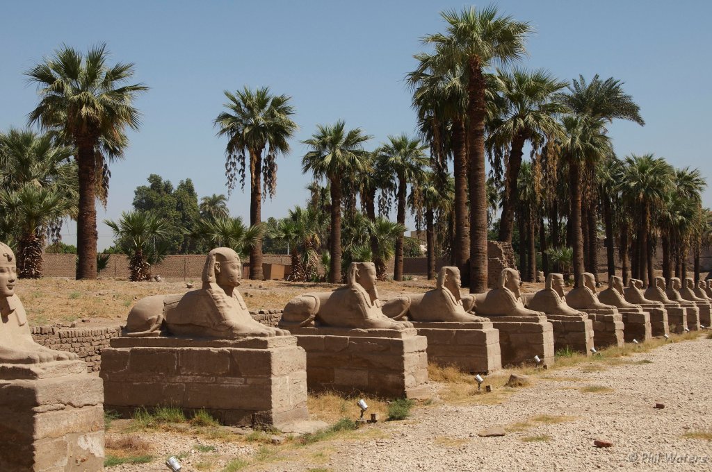 Egypt_2009_Wk1_051.jpg