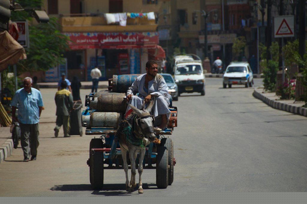 Egypt_2009_Wk1_106.jpg