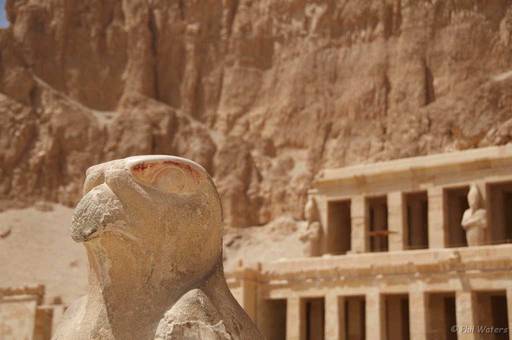 Egypt_2009_Wk1_199.jpg