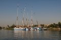 Egypt_2009_Wk1_113