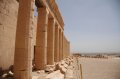 Egypt_2009_Wk1_181