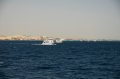 Egypt_2009_Wk2_424