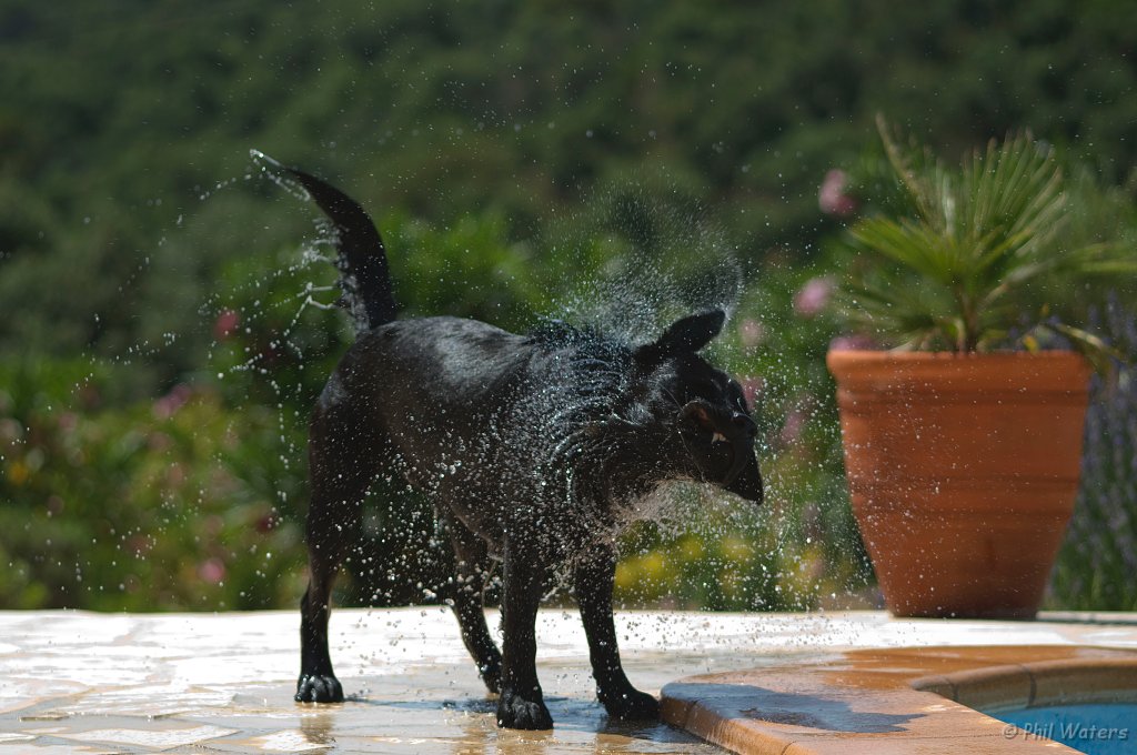 Spain_2009_057.jpg