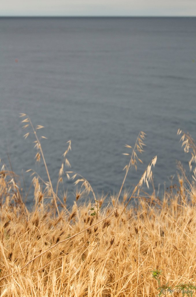 Spain_2009_383.jpg