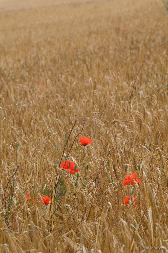 Spain_2009_487.jpg