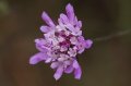 Spain_2009_460