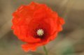 Spain_2009_470