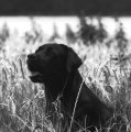 Spain_2009_475