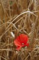 Spain_2009_484