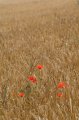 Spain_2009_487