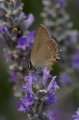 Spain_2009_537
