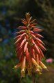 Spain_2009_564