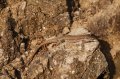 Spain_2009_639