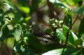 Spain_2009_646