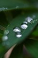 105mm_First_Shots_5-6-09_003