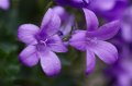 105mm_First_Shots_5-6-09_011