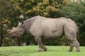 Port_Lympne_Park_22-10-09_003