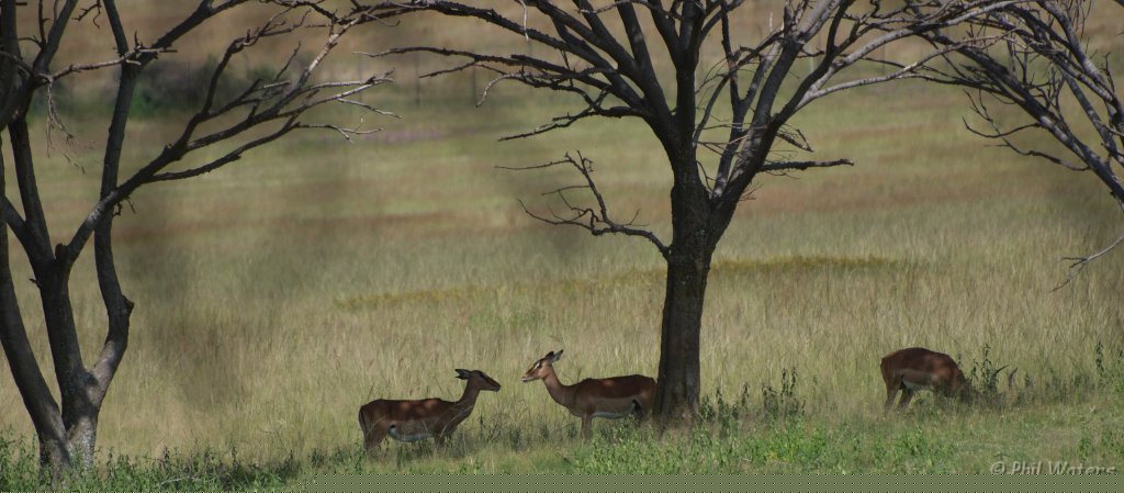 South_Africa_040.jpg