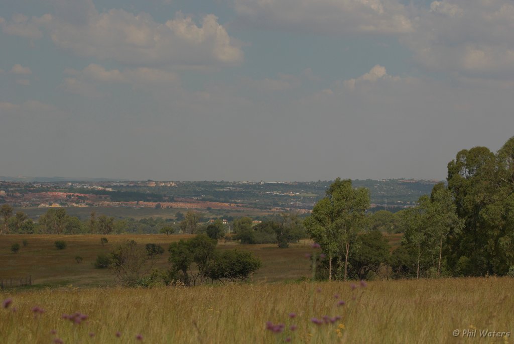 South_Africa_122.jpg