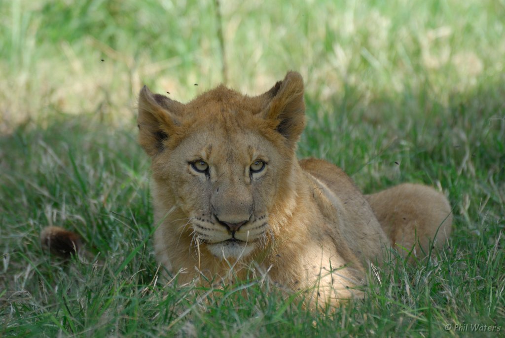 South_Africa_222.jpg