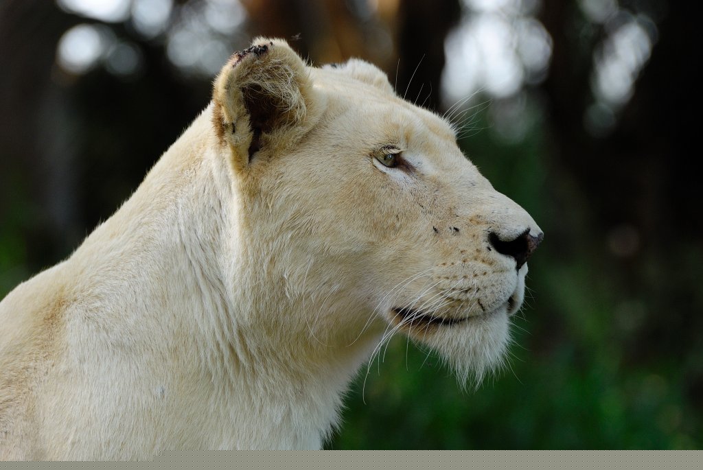 South_Africa_243.jpg