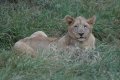South_Africa_182