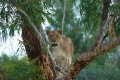 South_Africa_201
