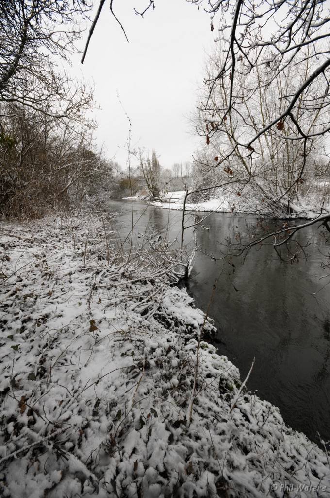 Snowy_Walk_2-2-09_019.jpg