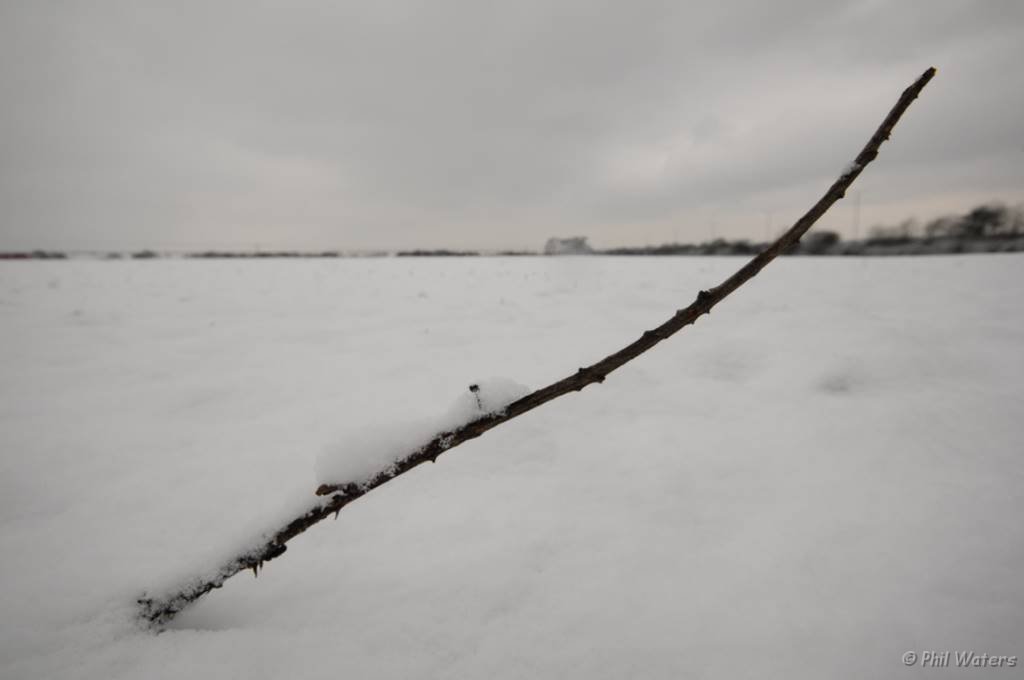 Snowy_Walk_2-2-09_026.jpg
