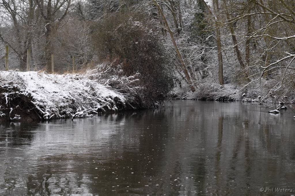 Snowy_Walk_2-2-09_064.jpg