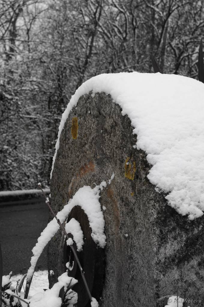 Snowy_Walk_2-2-09_070.jpg