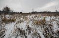 Snowy_Walk_2-2-09_005