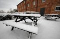 Snowy_Walk_2-2-09_007