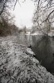Snowy_Walk_2-2-09_019