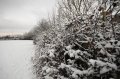 Snowy_Walk_2-2-09_022