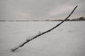 Snowy_Walk_2-2-09_026