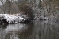 Snowy_Walk_2-2-09_064