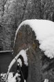Snowy_Walk_2-2-09_070