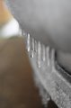 Snowy_Walk_2-2-09_071