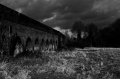 Windsor_River_Walk_18-01-09_019