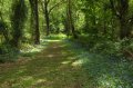 Wellington_Country_Park_3-4-09_001