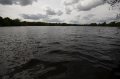 Wellington_Country_Park_3-4-09_068